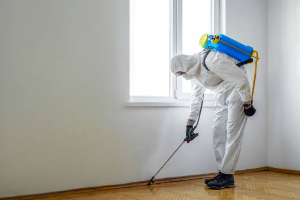 Best Local Pest Control Services  in Carroll Valley, PA