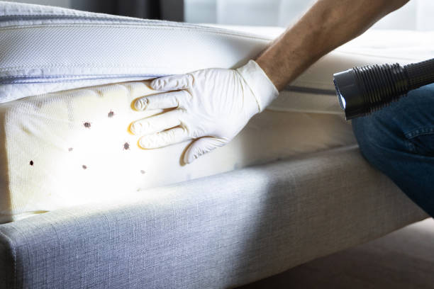 Pest Control for Restaurants in Carroll Valley, PA