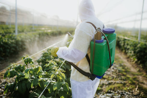 Best Pest Inspection Near Me  in Carroll Valley, PA